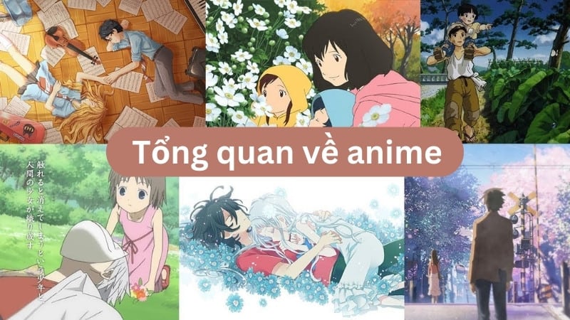 Tổng quan về anime